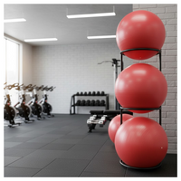 MORGAN GYM BALL (55CM)