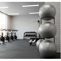 MORGAN GYM BALL (65CM)