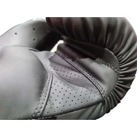 MORGAN ALPHA BOXING GLOVES (12-16OZ) [16oz]