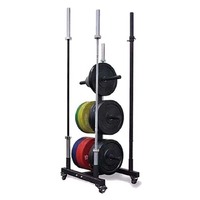 RAPID MOTION BUMPER PLATE AND BARBELL STORAGE RACK WITH WHEELS